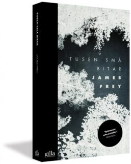James Frey – Tusen små bitar (pocket), 3D