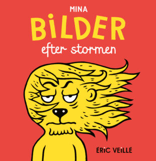 Éric Veillé – Mina bilder efter stormen (board book 2018)